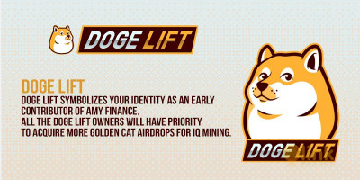ICO Doge Lift