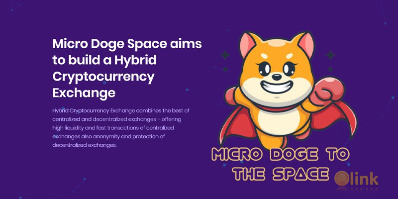 ICO Micro Doge Space