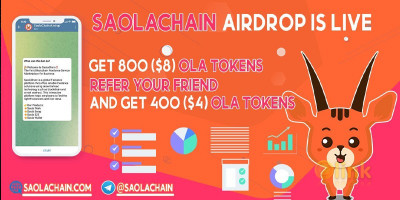 ICO SaolaChain image in the list