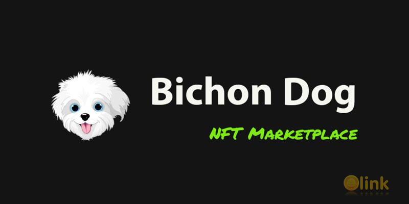 ICO Bichon Dog