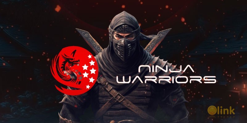 ICO Ninja Warriors