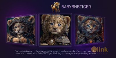 ICO BabyBNBTiger in the Crypto List