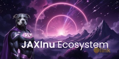 ICO JAXInu image in the list