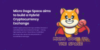 Micro Doge Space