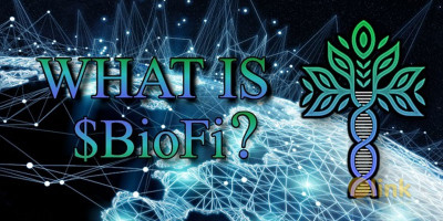 ICO Biometric Financial Video