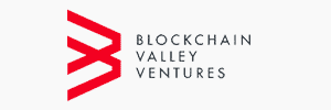 Blockchain Valley Ventures ICO Agency