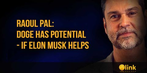Raoul Pal: DOGE has potential - if Elon Musk helps