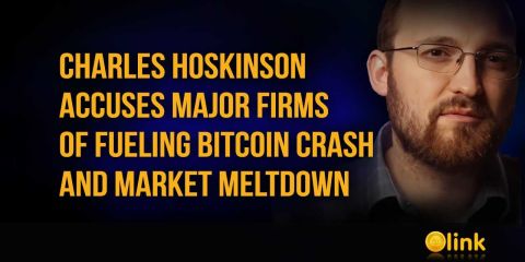 Charles Hoskinson Accuses Major Firms of Fueling Bitcoin Crash and Market Meltdown