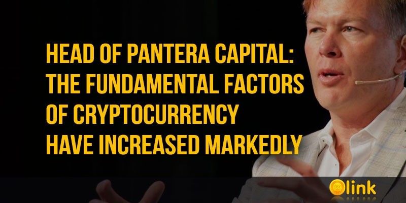 Head-of-Pantera-Capital-The-fundamental-factors-of-cryptocurrency-increased
