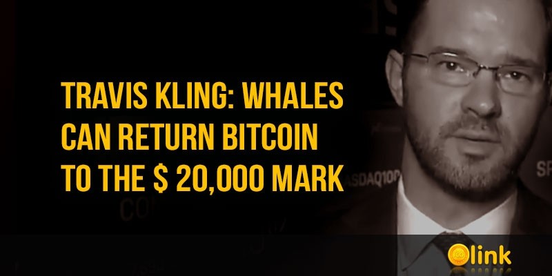 Travis-Kling-Whales-can-return-Bitcoin-to--20000