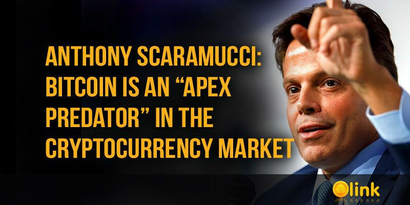 Anthony-Scaramucci-Bitcoin-is-an-apex-predator
