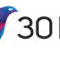 30 Bird Media