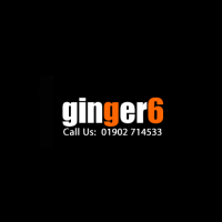ginger6computers