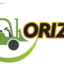 OrizenGroup