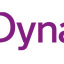 Dynamo Infotech