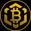 Bitcoin BSC