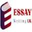 Custom Essay Services