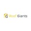Roof Giants