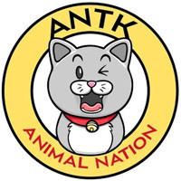 logo-animal-nation_large