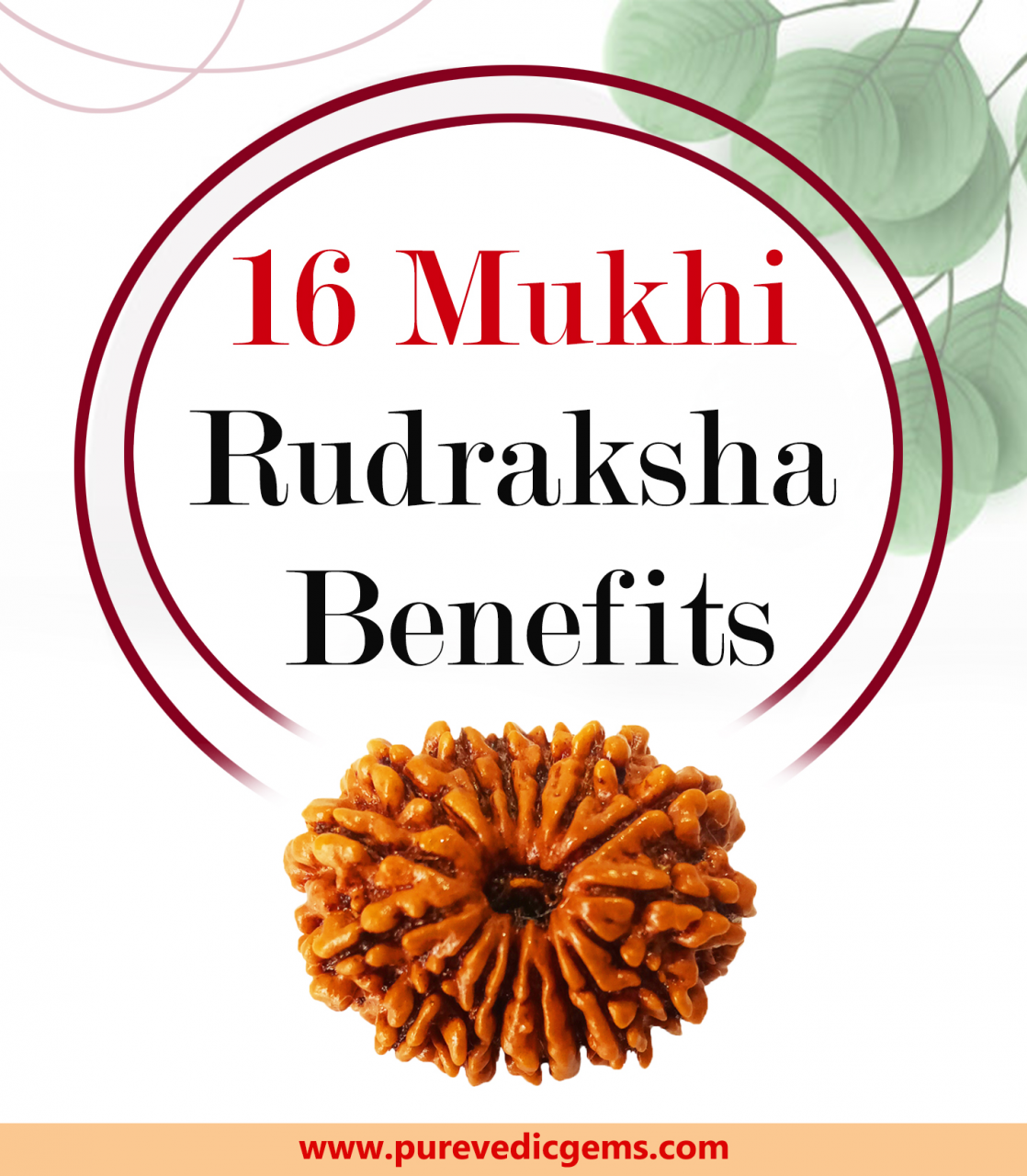 16-mukhi-rudraksha-benefits_large