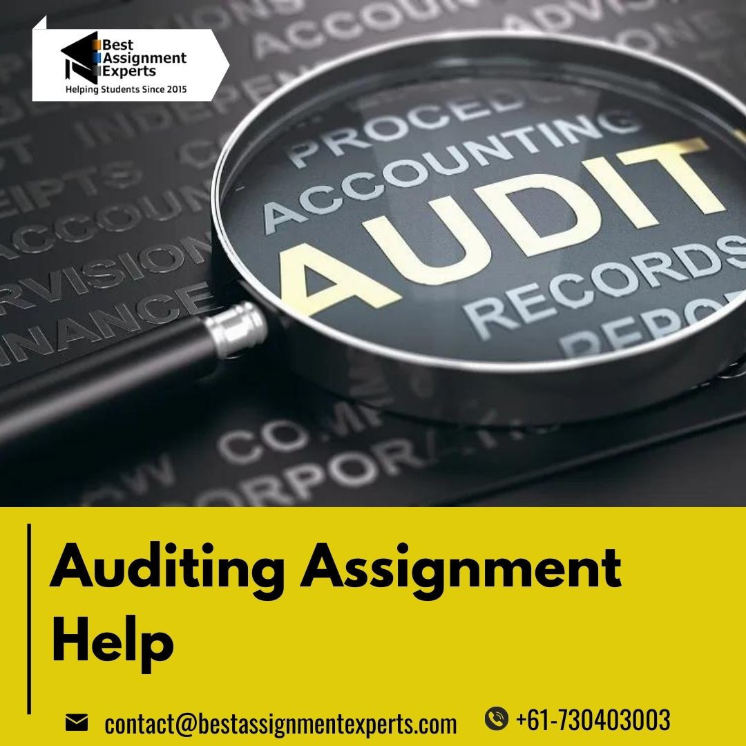 auditing-assignment-help_large
